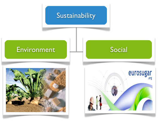 CEFS - Sustainability
